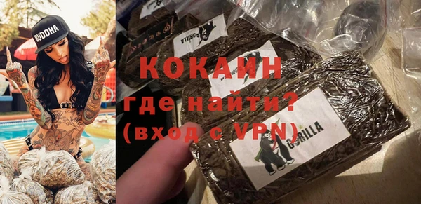 гидропоника Гусиноозёрск