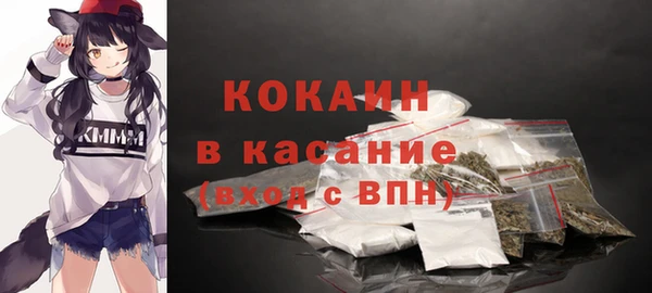 прущие грибы Гусь-Хрустальный