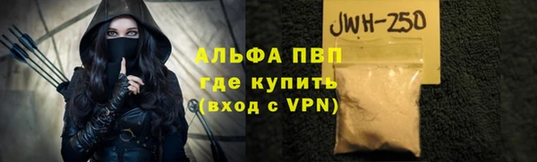 прущие грибы Гусь-Хрустальный