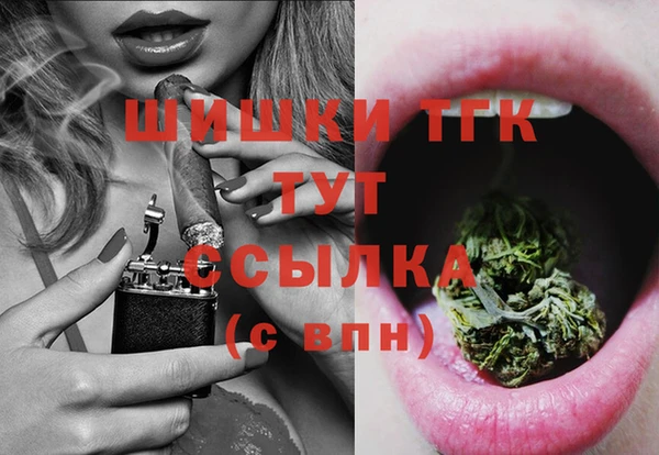 гидропоника Гусиноозёрск