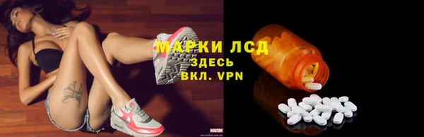прущие грибы Гусь-Хрустальный
