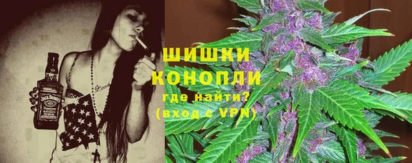 прущие грибы Гусь-Хрустальный