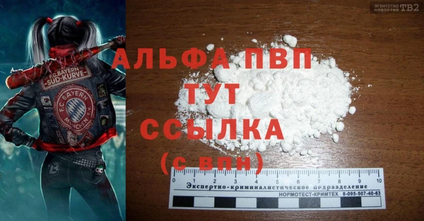 экстази Гусев