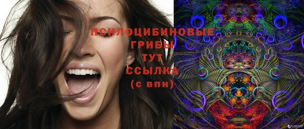экстази Гусев