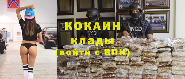гидропоника Гусиноозёрск