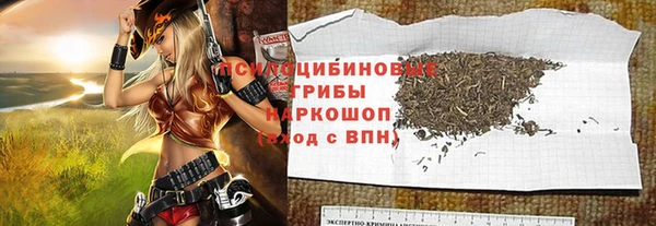 экстази Гусев