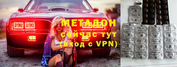 прущие грибы Гусь-Хрустальный