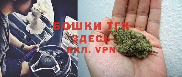 прущие грибы Гусь-Хрустальный